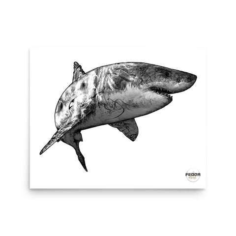 SHARK 4 16"x20" Print