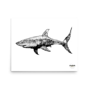 SHARK 1 16"x20" Print