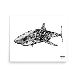 SHARK 2 16"x20" Print